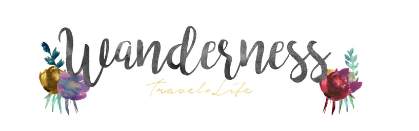 wanderness logo